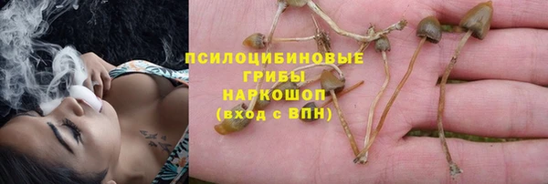 кокаин премиум Алексеевка