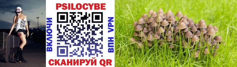 Псилоцибиновые грибы Magic Shrooms цена Миньяр